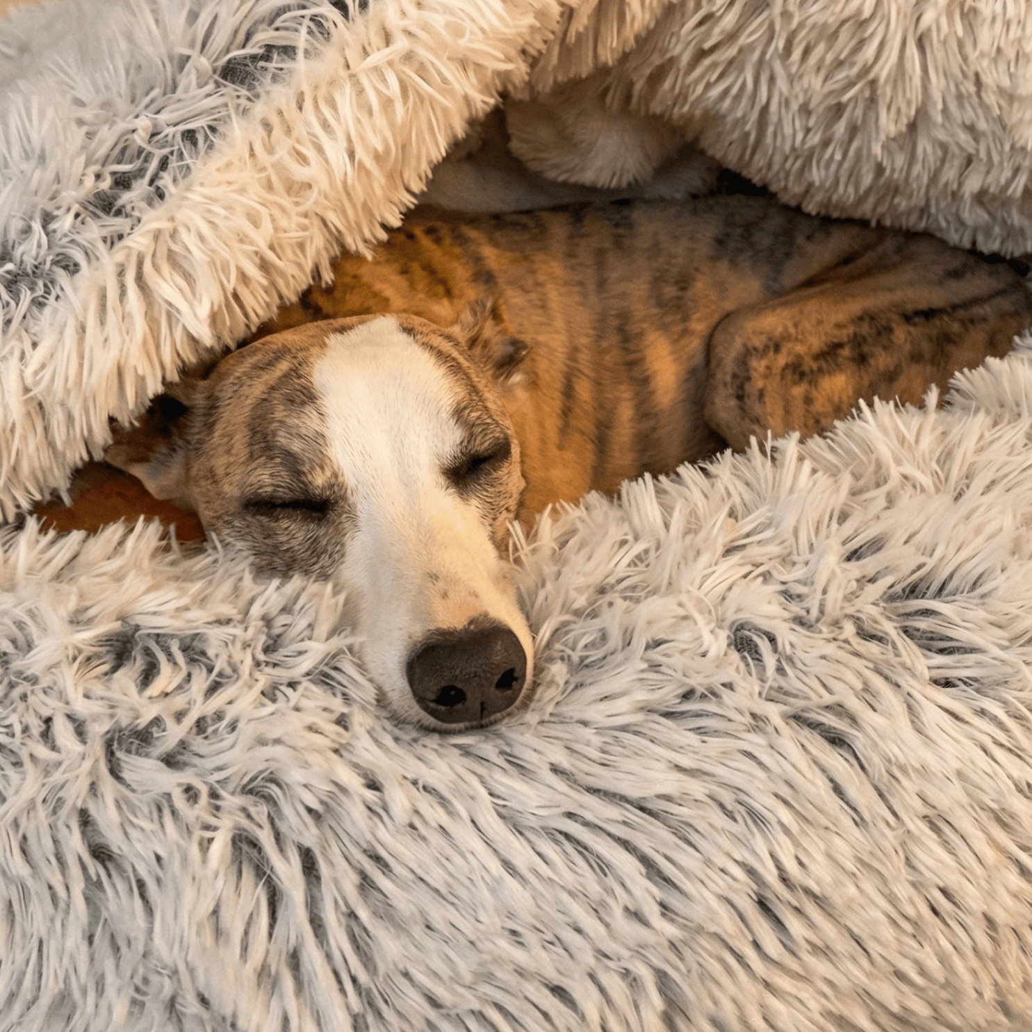 CozyCave™ Haustierbett