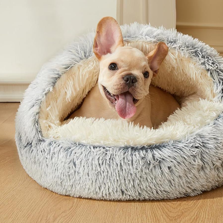 CozyCave™ peti lemmikeille - Tukkukoira 